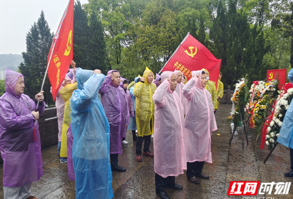 铭记历史  缅怀先烈 ——永定区疾控中心开展清明祭扫活动