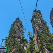 张家界市5月1日旅游接待情况