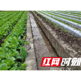 慈利县高峰乡桃树坪村“我为群众办实事”