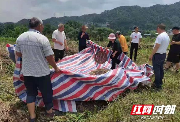 慈利县许家坊土家族乡：办实事 解民忧