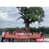 张家界收费站扎实推进党史学习教育，红军树下缅怀先烈