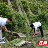 武陵源区天子山社区组织开展“学党史，我为群众办实事”实践活动