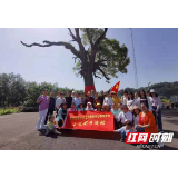 永定医院开展“红军树下党旗飘”党史学习教育