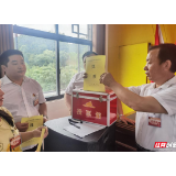 东风正劲待扬帆，齐心协力绘蓝图——中国共产党新桥镇第七次代表大会胜利召开