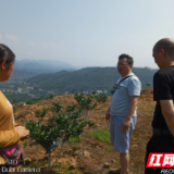 慈利县农业农村局：学史力行 送技术到地头