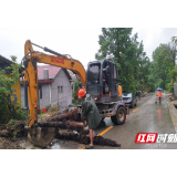 净化路域，风雨无阻——张家界市交通运输综合行政执法支队组织开展路域环境整治行动