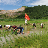 永定区后坪街道：缅怀历史忆初心、为民办事践使命