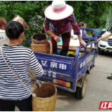 永定区罗塔坪乡：治顽瘴去痼疾 建设平安乡镇