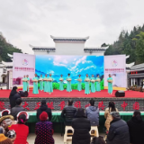 桑植“一课一片一实践” 擦亮党员教育“红色名片”