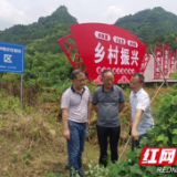湖南省农科院专家（武陵源科技服务团成员）赴武陵源区开展科技服务