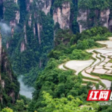 《我的空中田园》MV全网发布 唱响金山银山的生态之歌