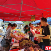 永定区四都坪乡开展创建食品安全示范城市集中宣传活动