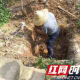 慈利县杨柳铺乡：向生态“亮剑” 加速污水治理