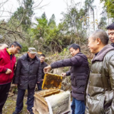 余热未尽献 老骥不偷闲 桑植12名老党员获全县“四心四好”称号