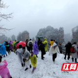 强势复苏！新年刚过半月，张家界接待游客创历史纪录