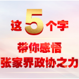 “字”读报告丨这5个字，带你感悟“张家界政协之力”！