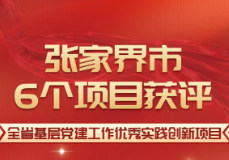 张家界市6个项目获评“全省基层党建工作优秀实践创新项目”