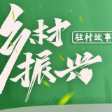 “浸峪六策”探索创新基层治理