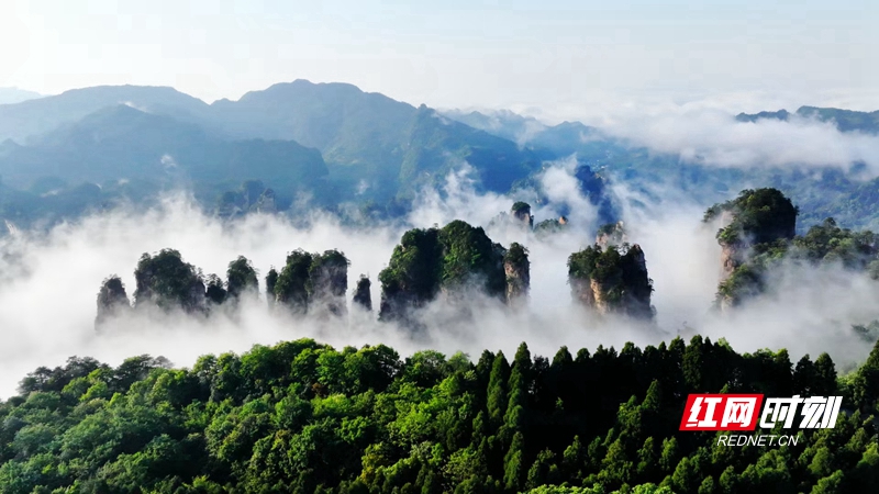 缭绕的云雾在三千奇峰间奔涌流动。.jpg