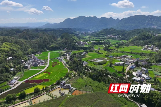 田园风光.jpg