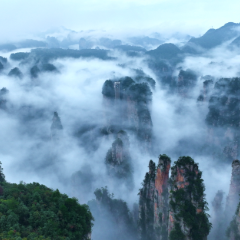 国庆游张家界｜黄石寨顶云海缥缈 十里画廊雾绕奇峰