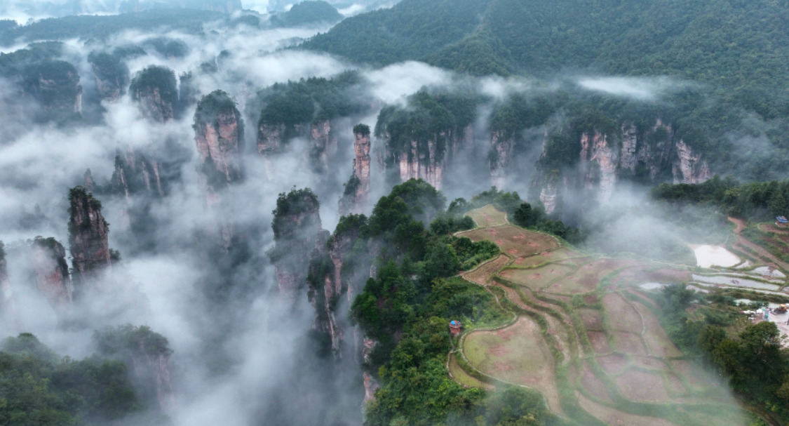 国庆游张家界｜黄石寨顶云海缥缈 十里画廊雾绕奇峰