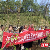慈利县龙潭河镇江星村：首期果技班开班 助农增收促振兴