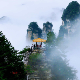 杨家界天波府观云海