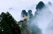 杨家界天波府观云海