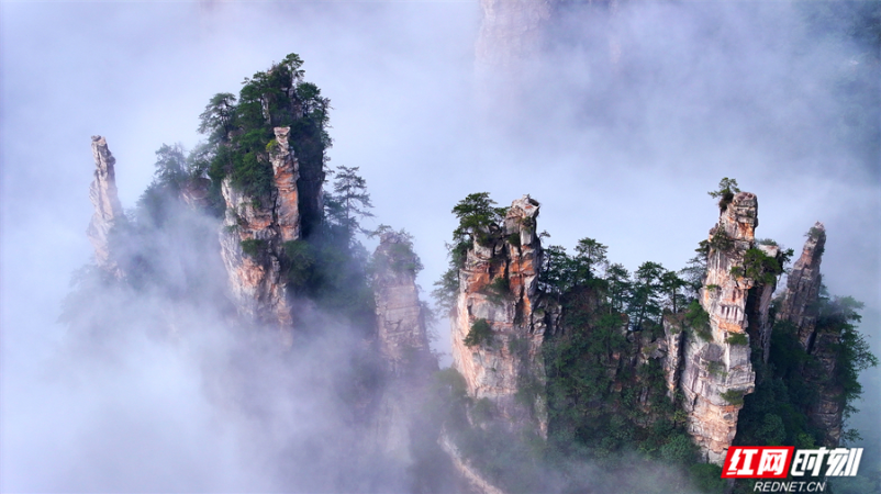 张家界错峰游热度高 天子山云海胜景醉游客