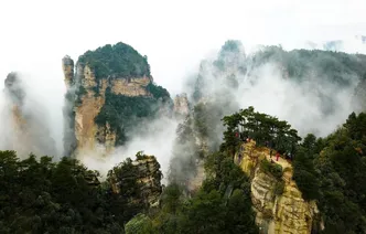 张家界降温迎来真正入秋 杨家界秋日云海与峰林交织成画