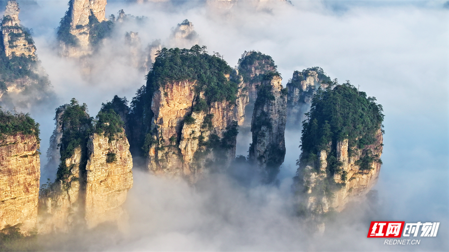 张家界获优化入境旅游服务典型案例 支付升级让全球游客“畅行无阻”