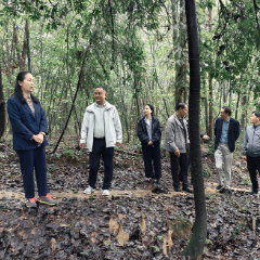 张家界市人大赴金杜村召开乡村振兴产业发展调度会