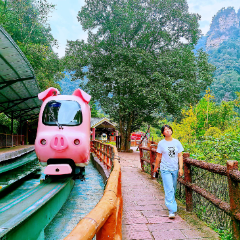 国庆游张家界｜十里画廊秋色与萌趣电车引客来