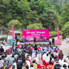 2025张家界艺创季启幕：寻梦画境绘奇峰，艺术赋能文旅与乡村振兴新图景