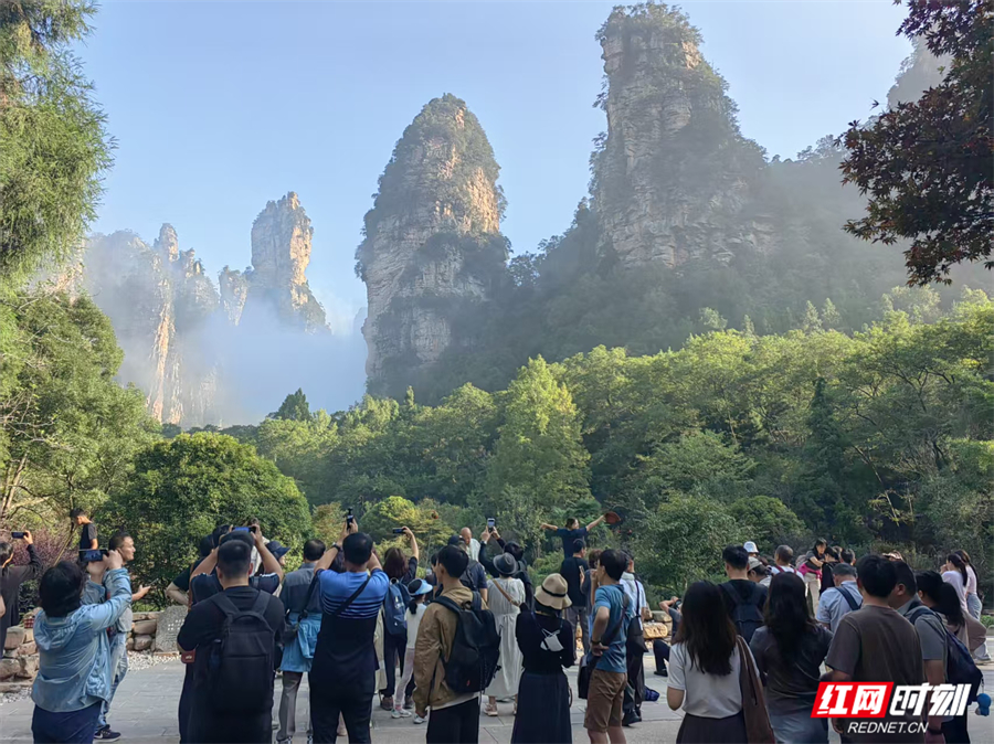 国庆游张家界｜国庆长假第6天 张家界国家森林公园游游人如织