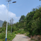 慈利县龙潭河镇枞木村:点亮乡村振兴路 照亮百姓幸福梦