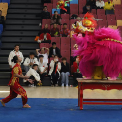 龙狮争霸载誉归！张家界学院揽获2025湖南省大学生舞龙舞狮比赛3金3银2铜，团体总分第一