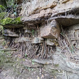 诗意对话奇峰 创意点亮山水:张家界国家森林公园上演“借位创意”互动新风尚