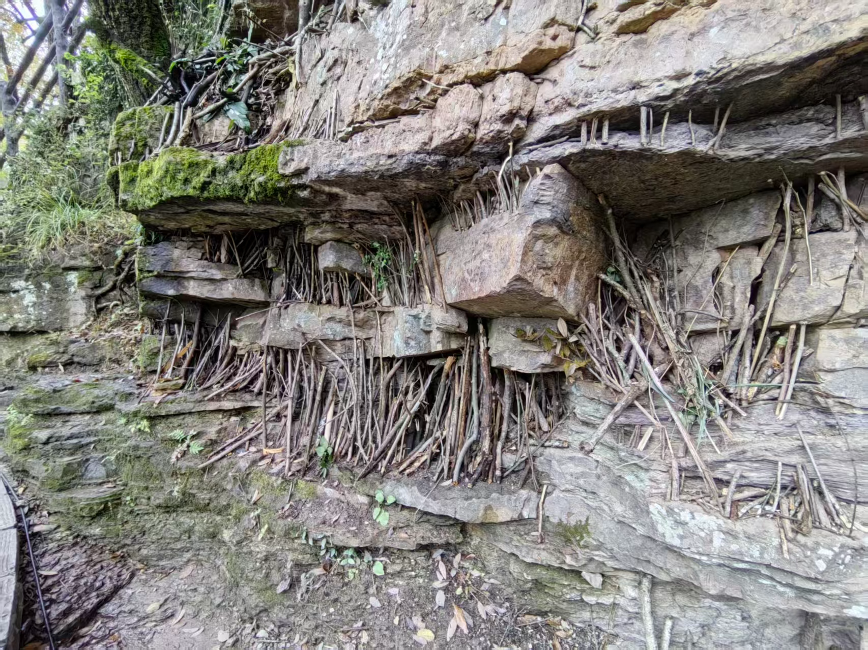 诗意对话奇峰 创意点亮山水：张家界国家森林公园上演“借位创意”互动新风尚