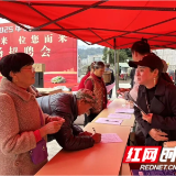 桑植县陈家河镇:精准搭台促就业 专场招聘暖人心