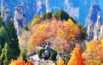 组图丨张家界国家森林公园漫山彩叶醉游人 