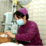 张家界:辽宁八旬游客突患心梗 医务人员全力抢救终脱险