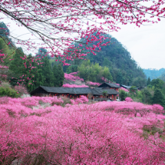 镜头定格遗产之美——第三届世界遗产摄影大展背后的温情与力量