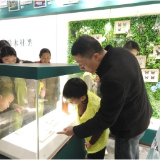 探秘林业密码:张家界绿色卫士“行走的生态课堂”开讲