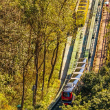 张家界十里画廊：暖冬秋色正浓 生肖电车载客入画