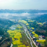 非凡“十四五”五年答卷①│深耕沃野结硕果，乡村振兴踏浪行——慈利县农业农村发展纪实