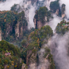 杨家界:峰墙云海织就秘境 地质奇观引游人沉醉