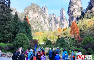 冬日暖阳映峰林 张家界国家森林公园冬游火热