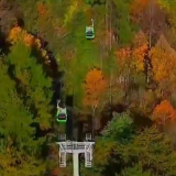 杨家界初冬限定:云海奇峰间的暖冬秋色